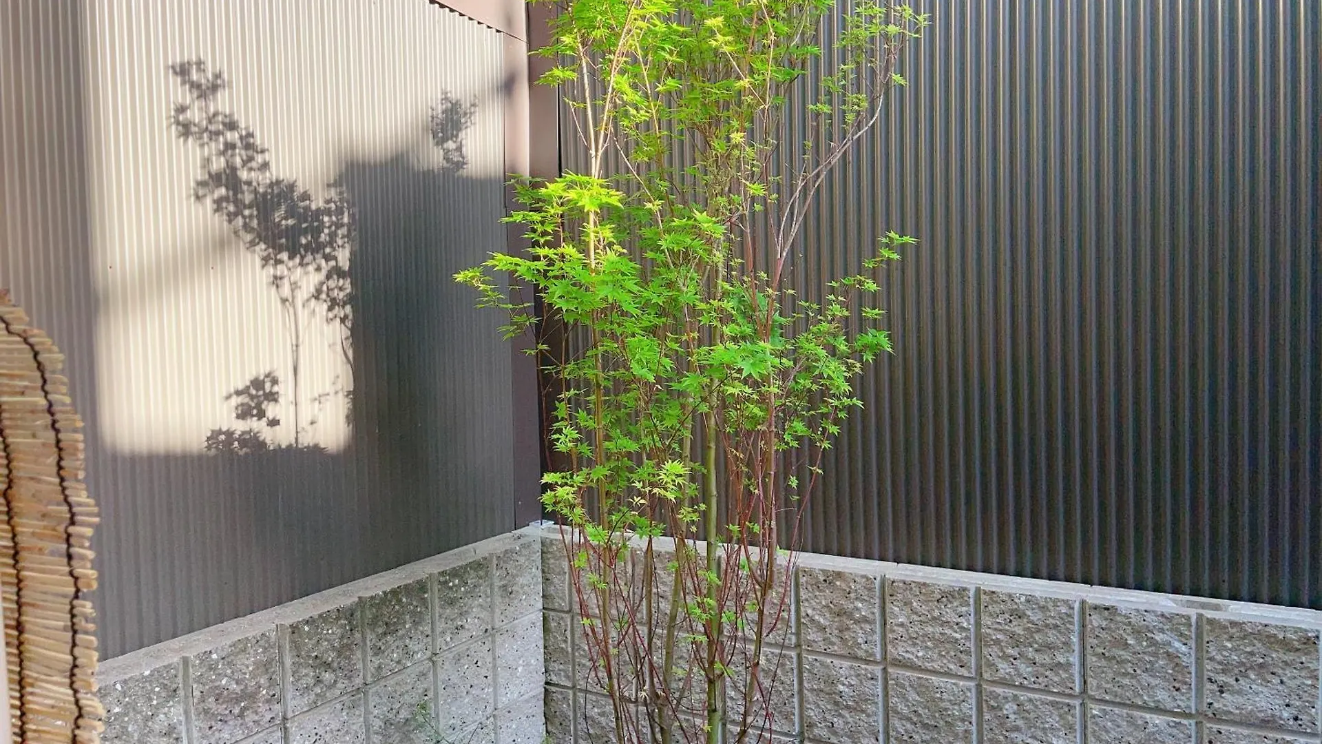 Guest house Suikakan Heianjingumae 酔花間 Kyoto