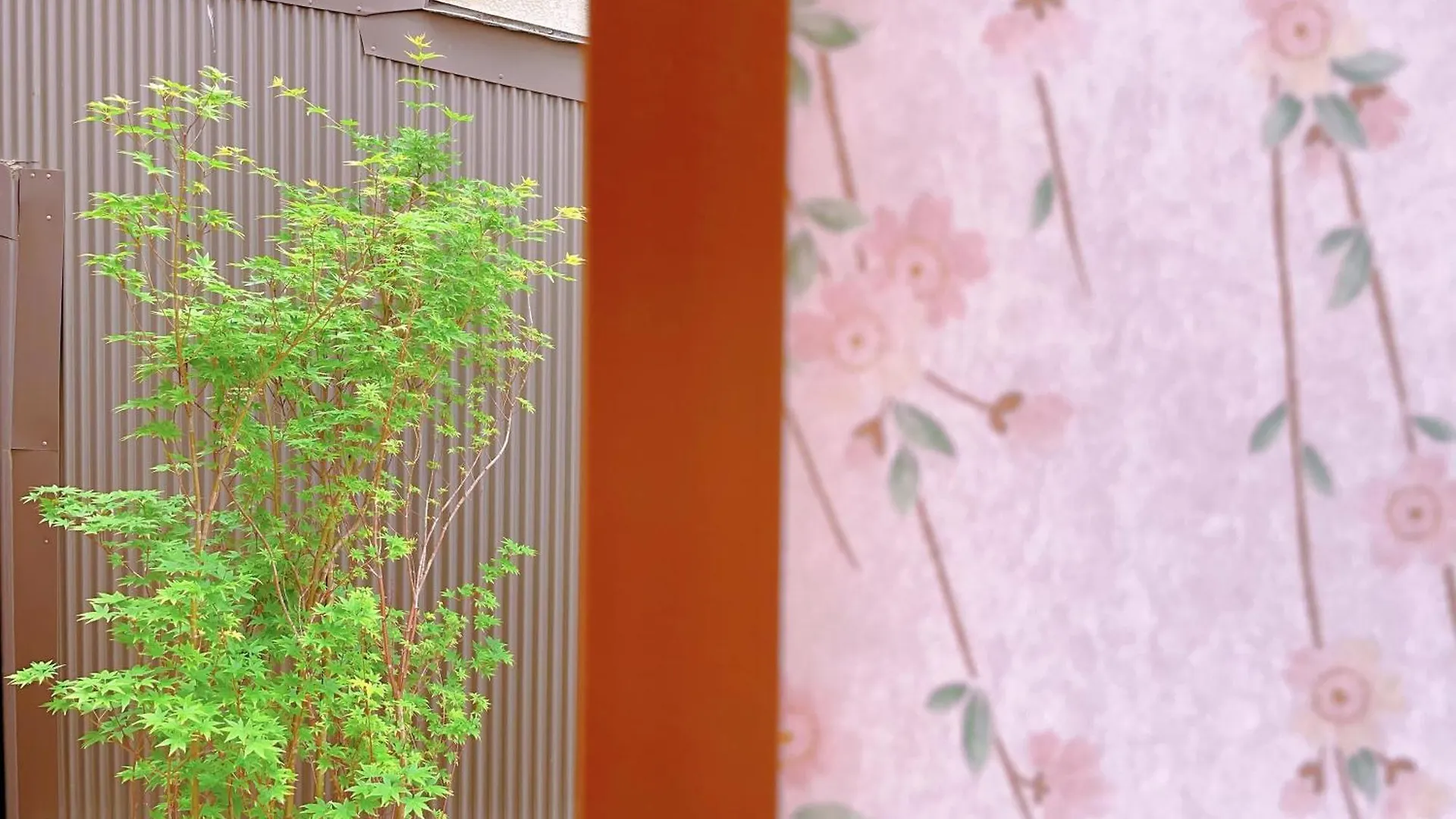 Suikakan Heianjingumae 酔花間 Kyoto